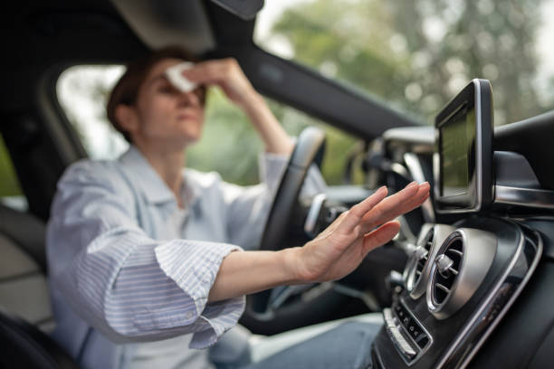 Best Affordable Air Conditioning Repair  in Williamston, SC