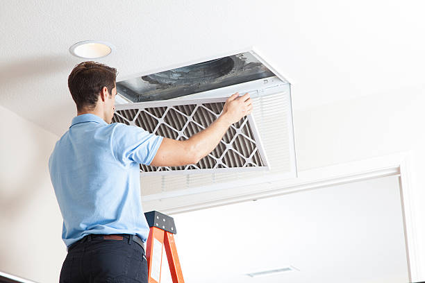 Best Best HVAC Companies  in Williamston, SC